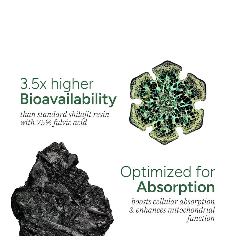 Shilajit gummy