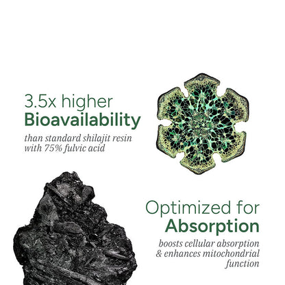 Shilajit gummy
